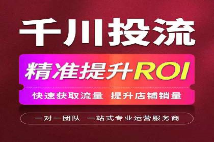网络推广中竞价广告的投放策略及成功案例